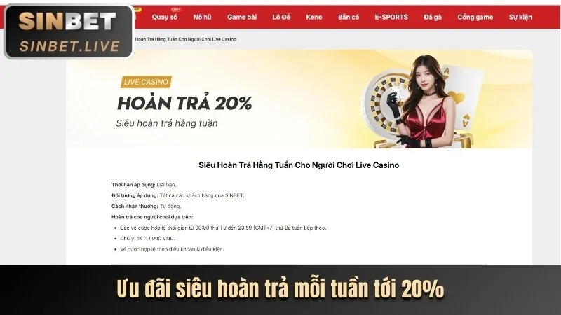 Hướng dẫn chơi casino trực tuyến cho người mới bắt đầu